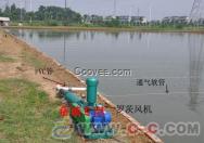 海南养殖渔业JGR50-300锦工罗茨风