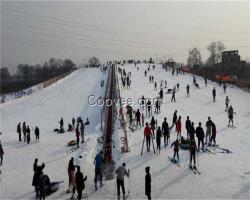 供應(yīng)耐磨滑雪場魔毯雪地魔毯輸送帶廠家