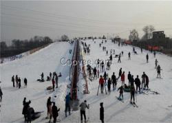 滑雪場魔毯運輸能力客流量大的雪地魔毯廠家