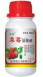 辣椒早熟增產倍增威上市早抗早衰好農藥