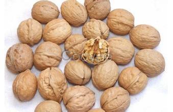 核桃蛋白片供应