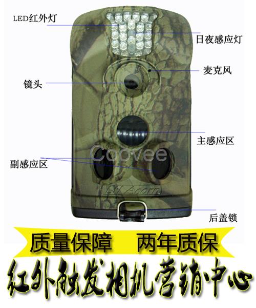 昆虫红外触发相机