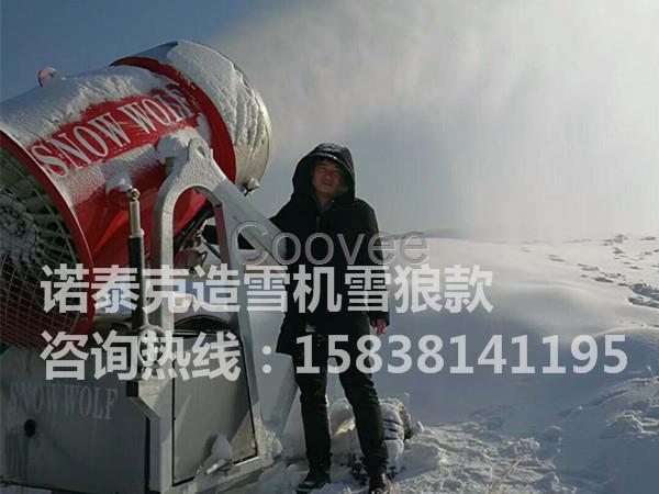 國產(chǎn)造雪機 中小型滑雪場造雪機