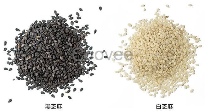 芝麻供應廠家宏興食品為您提供的芝麻產(chǎn)品