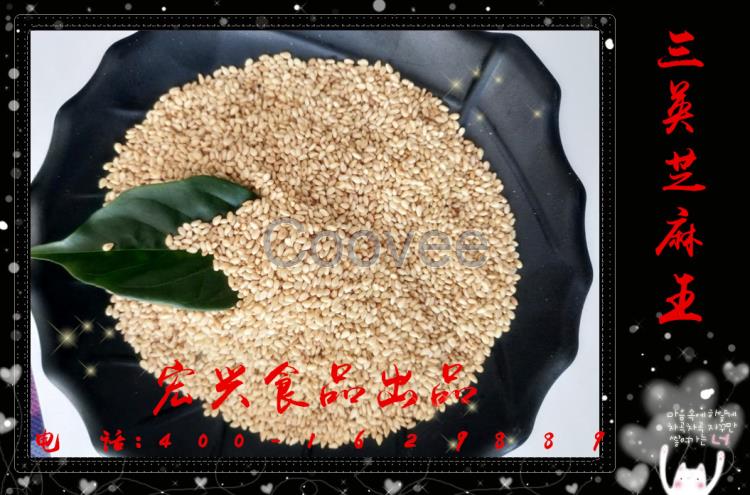 長(zhǎng)春芝麻醬供應(yīng)產(chǎn)地一級(jí)芝麻供應(yīng)餐飲飯店燒烤店