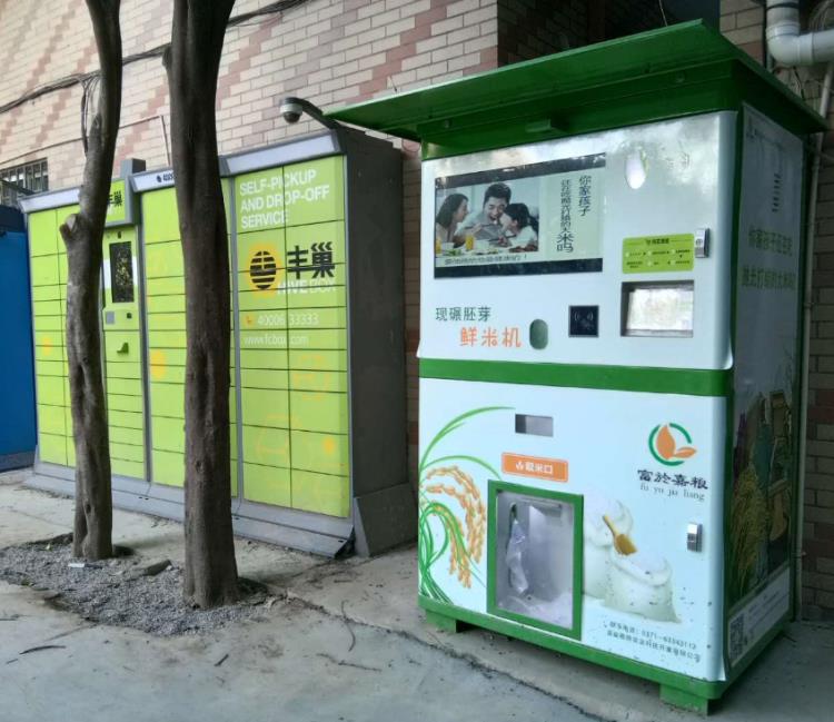 鄭州富於嘉糧自助碾米機多谷倉自助胚芽鮮米機