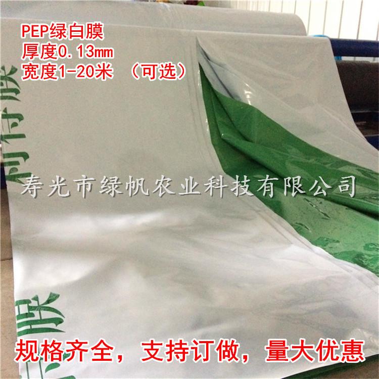 13絲pep綠白膜 PEP利得膜 散射光綠白膜