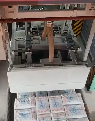 袋裝水泥全自動裝車機