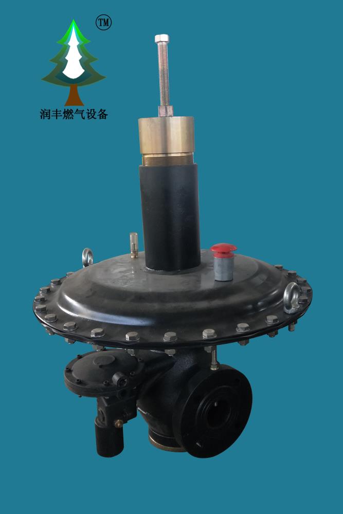 能源 能源设备 燃气设备 其他燃气设备 rtz-50aq天然气调压阀2寸自产