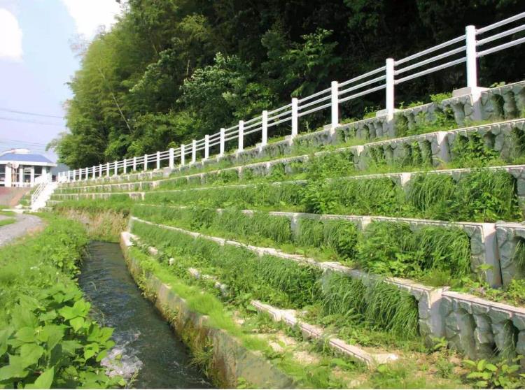 河道生态护坡框河堤边坡选中力通新材