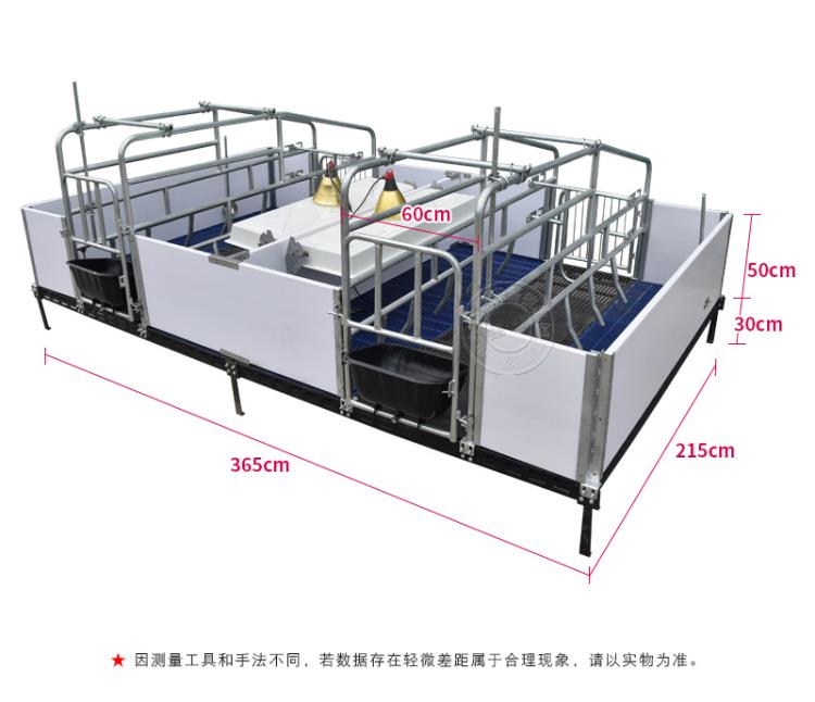 双体母猪产床尺寸猪产床厂家直销欧式母猪产床图片养殖设备